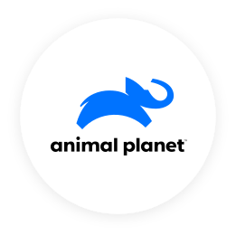 Channel_Icon_AnimalPlanet