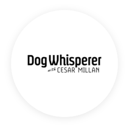 Channel_Icon_DogWhisperer